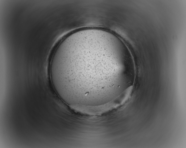 X0000096731222200802191542