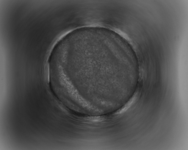 X0000096731223200802191542
