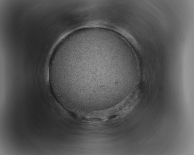 X0000096731224200802191542
