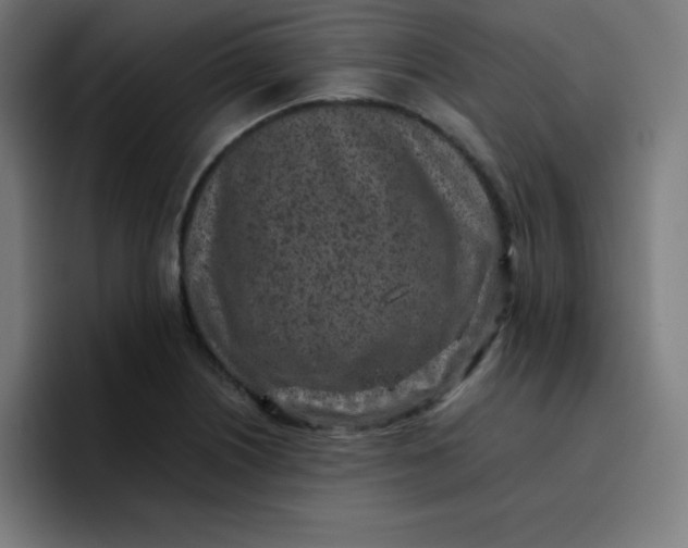 X0000096731226200802191542
