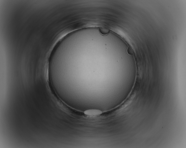 X0000096731227200802191542