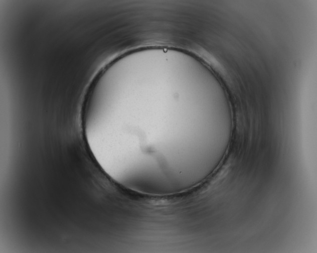 X0000096731230200802191542