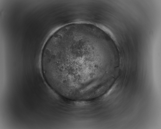 X0000096731231200802191542