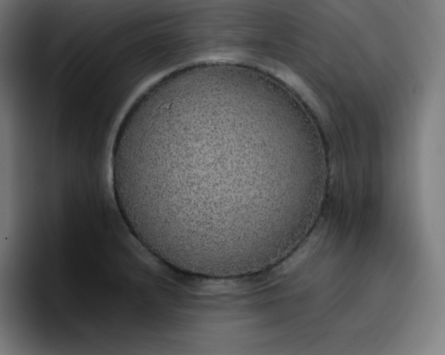 X0000096731232200802191542