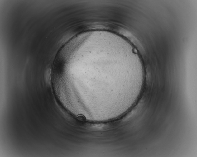 X0000096731233200802191542