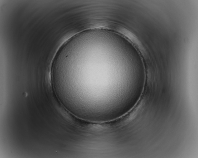 X0000096731234200802191542