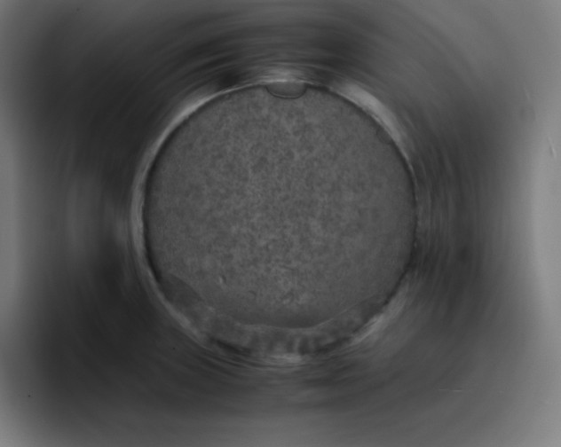 X0000096731235200802191542