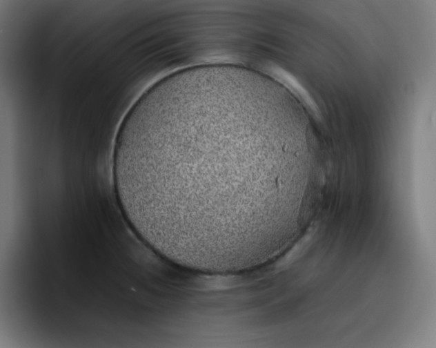 X0000096731236200802191542