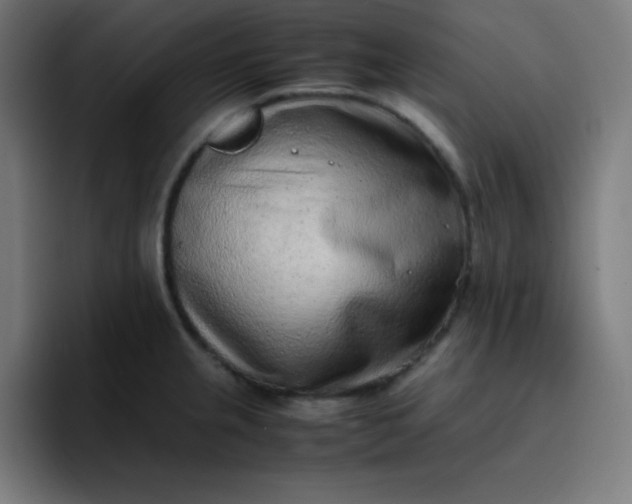 X0000096731237200802191542