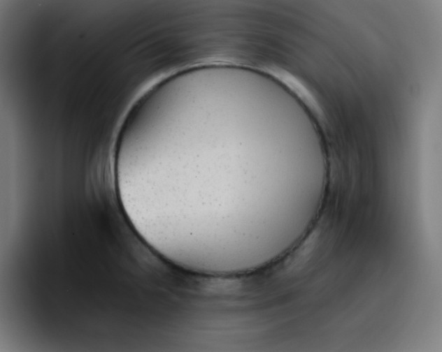 X0000096731238200802191542