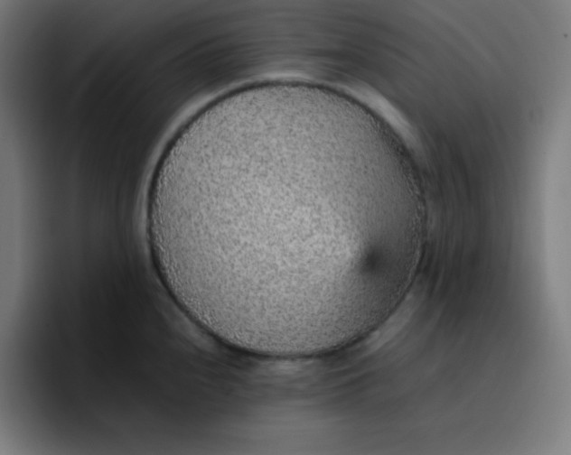 X0000096731240200802191542