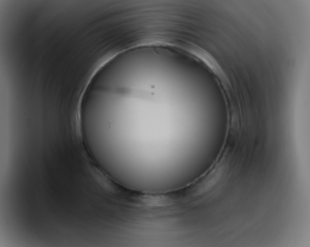 X0000096731242200802191542