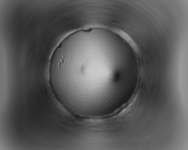 X0000096731244200802191542