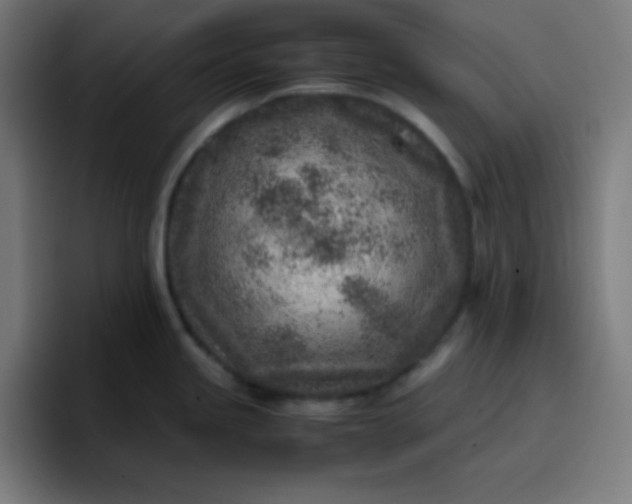 X0000096731245200802191542