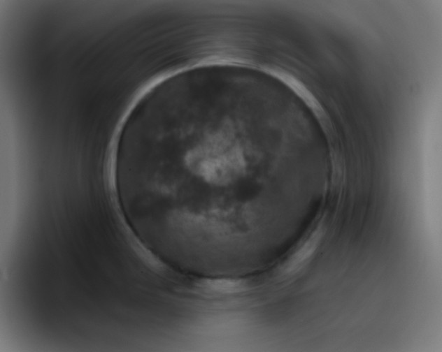 X0000096731246200802191542