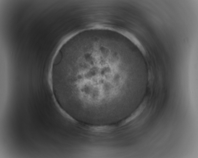 X0000096731247200802191542