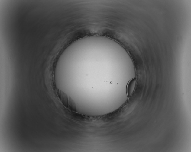 X0000096731249200802191541