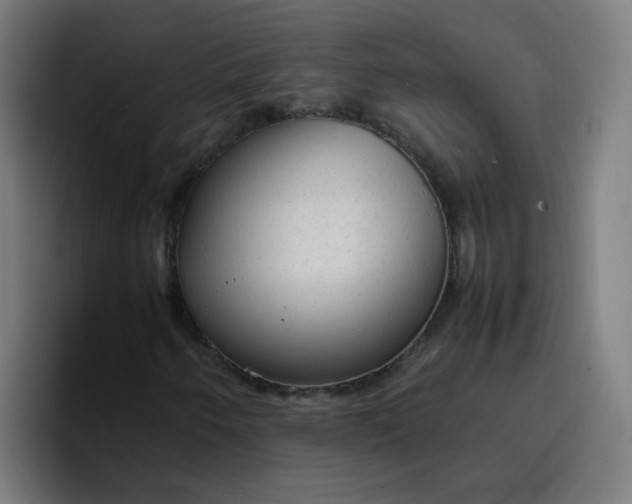 X0000096731250200802191541