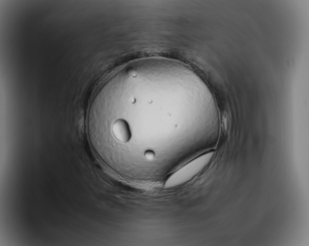 X0000096731251200802191541