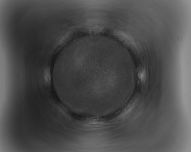 X0000096731252200802191541