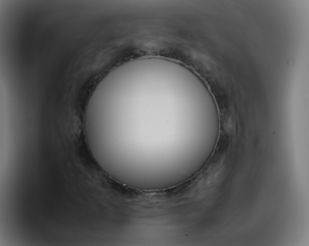 X0000096731253200802191541