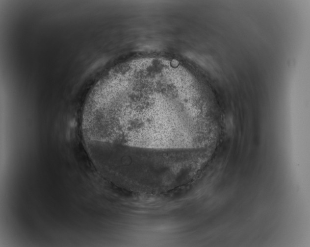 X0000096731254200802191541