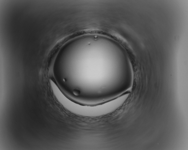 X0000096731255200802191541