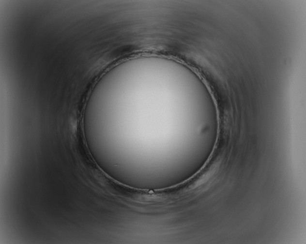 X0000096731257200802191541