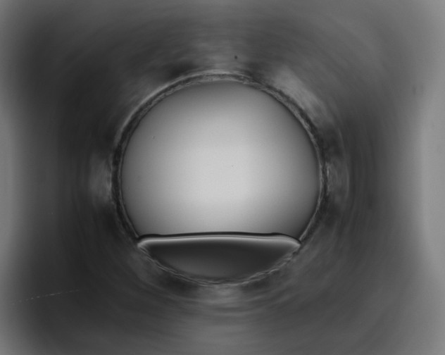 X0000096731260200802191541