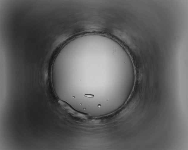 X0000096731261200802191541