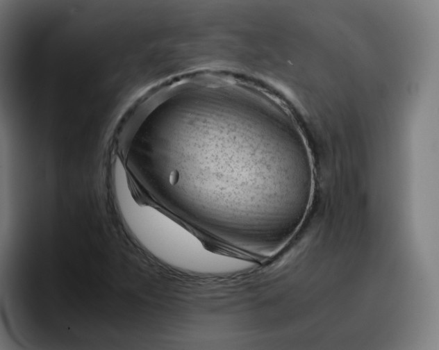 X0000096731263200802191541