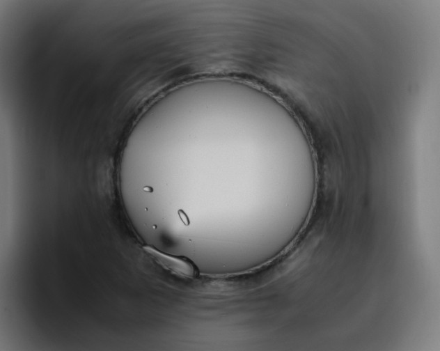 X0000096731265200802191541