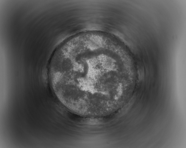 X0000096731266200802191541