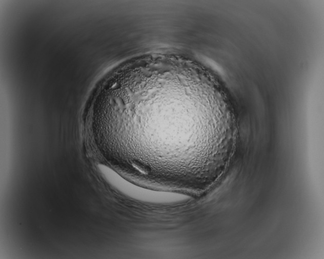X0000096731267200802191541