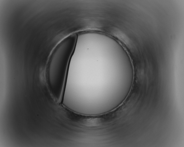 X0000096731268200802191541