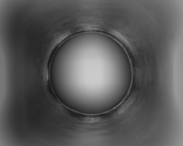 X0000096731269200802191541