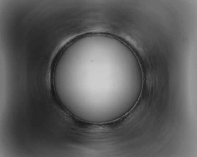 X0000096731270200802191541