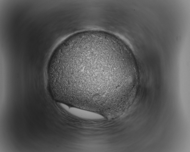 X0000096731271200802191541