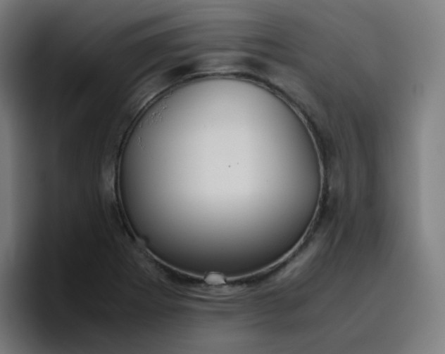 X0000096731273200802191541