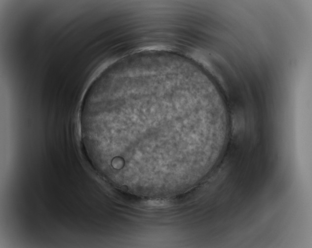 X0000096731274200802191541