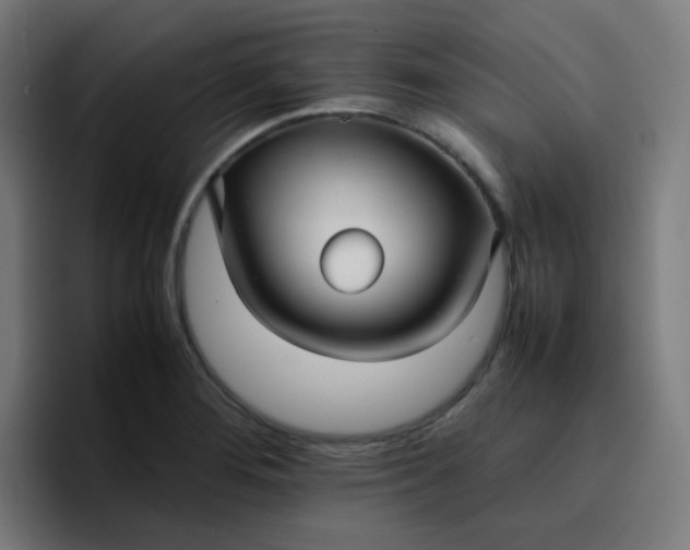 X0000096731276200802191541