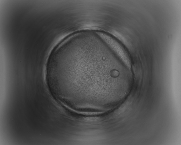 X0000096731277200802191541