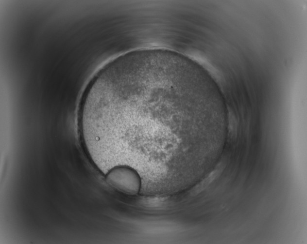 X0000096731278200802191541