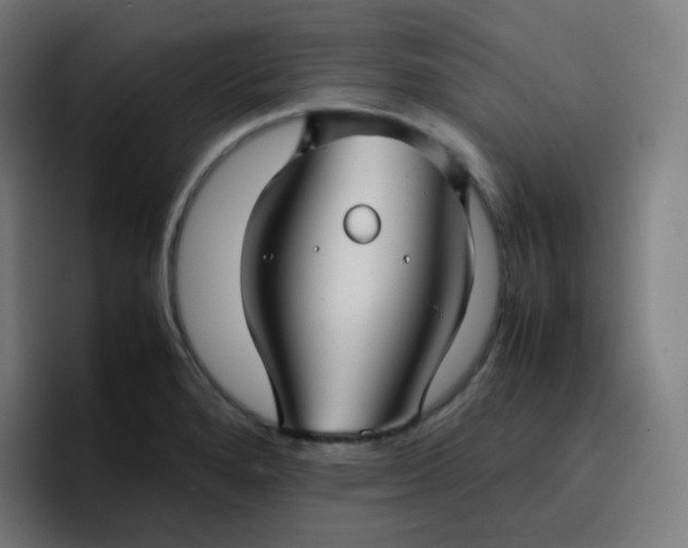 X0000096731280200802191541