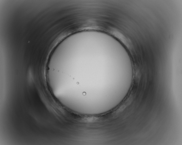 X0000096731282200802191541