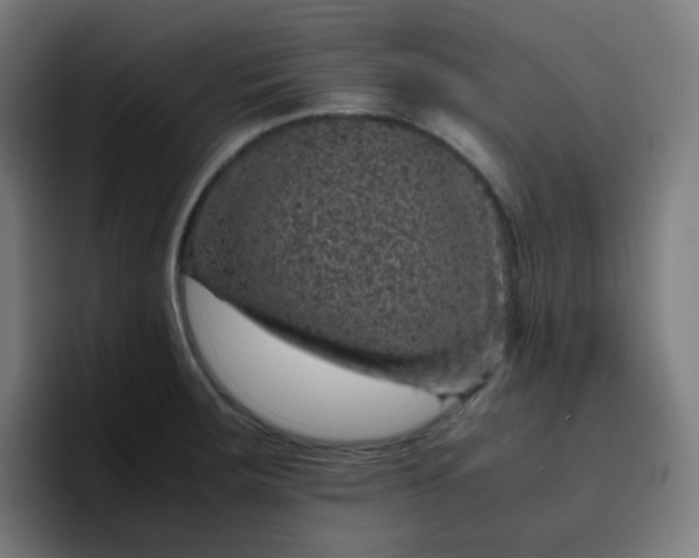 X0000096731283200802191541