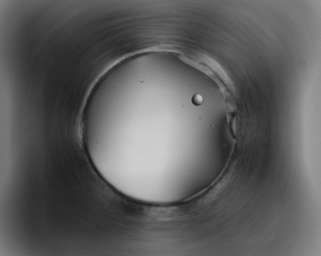 X0000096731284200802191541