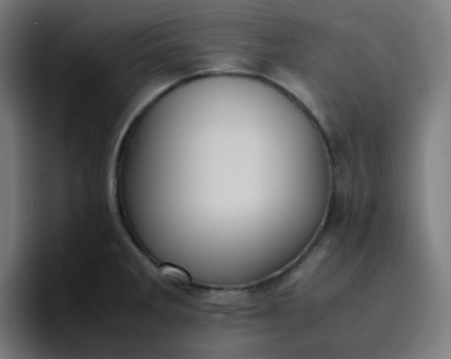 X0000096731285200802191541