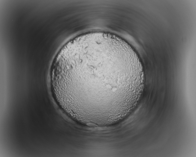 X0000096731287200802191541