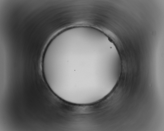 X0000096731288200802191541